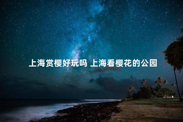 上海赏樱好玩吗 上海看樱花的公园